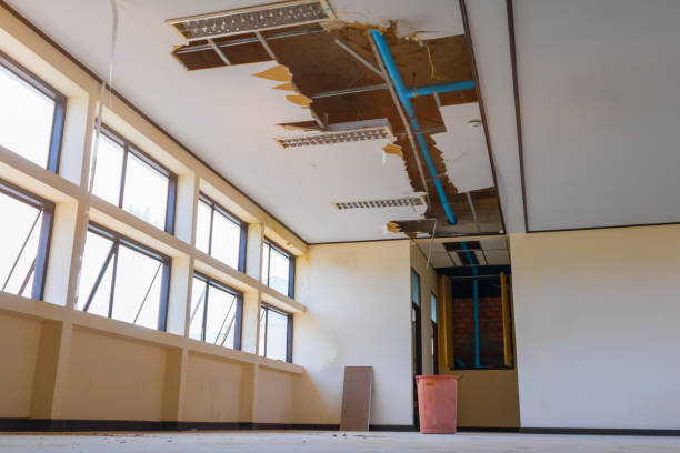 Best Ceiling water damage repair  in Tybee Island, GA