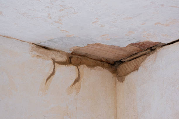  Tybee Island, GA Water damage restoration Pros
