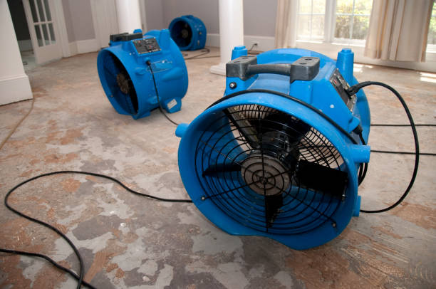 Best Water damage restoration near me  in Tybee Island, GA