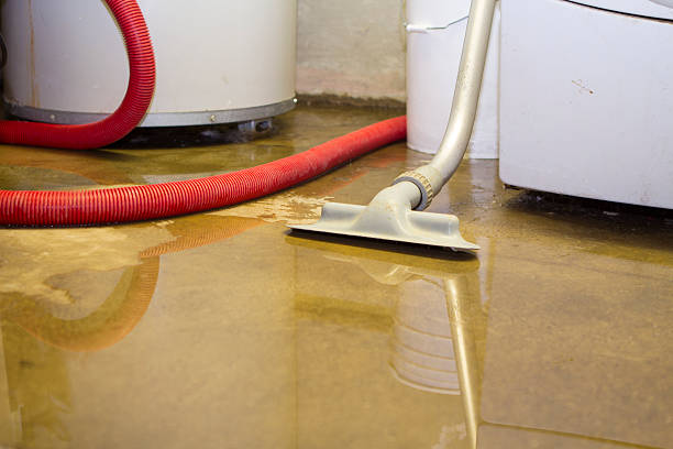 Best Water damage cleanup near me  in Tybee Island, GA