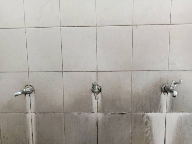 Trusted Tybee Island, GA Water damage restoration Experts