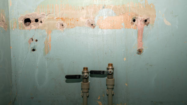 Best Water damage restoration near me  in Tybee Island, GA