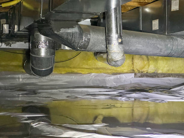Best Mold removal after water damage  in Tybee Island, GA
