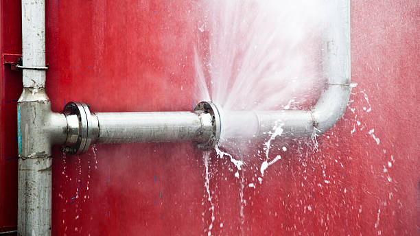 Best Flood restoration services  in Tybee Island, GA