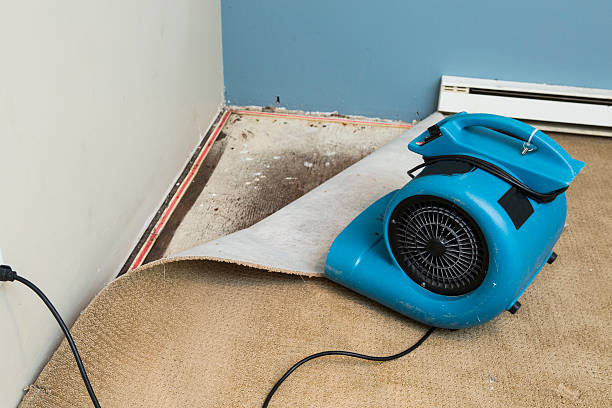 Best Fire Damage Restoration  in Tybee Island, GA